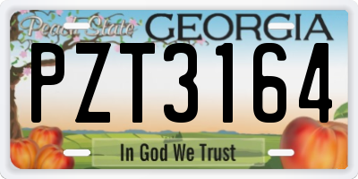 GA license plate PZT3164