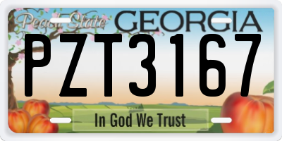 GA license plate PZT3167