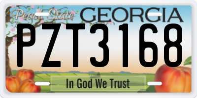 GA license plate PZT3168