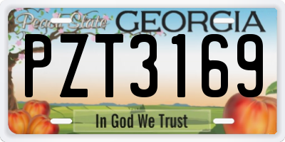 GA license plate PZT3169