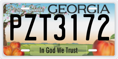 GA license plate PZT3172