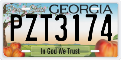 GA license plate PZT3174