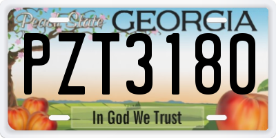 GA license plate PZT3180