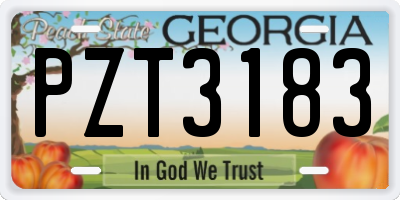 GA license plate PZT3183