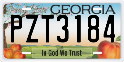 GA license plate PZT3184
