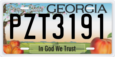 GA license plate PZT3191