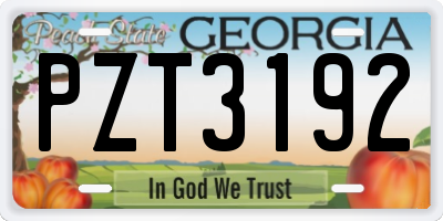 GA license plate PZT3192