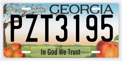 GA license plate PZT3195