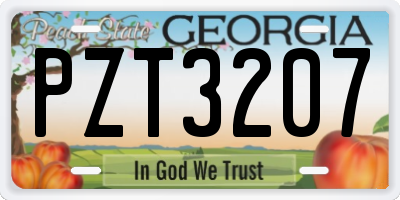 GA license plate PZT3207