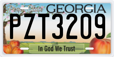 GA license plate PZT3209