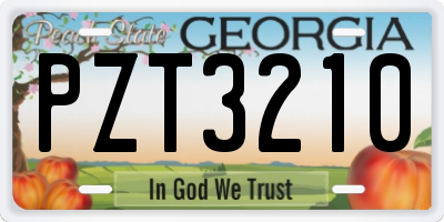 GA license plate PZT3210