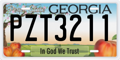 GA license plate PZT3211