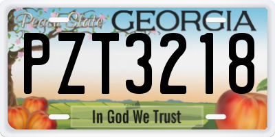 GA license plate PZT3218