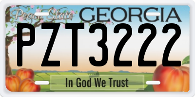 GA license plate PZT3222
