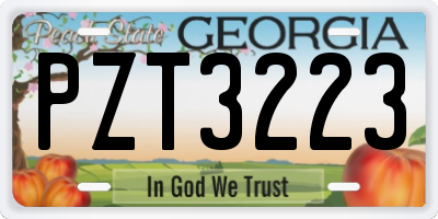 GA license plate PZT3223