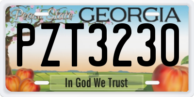 GA license plate PZT3230