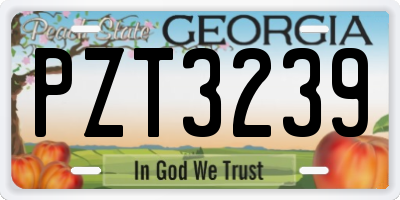 GA license plate PZT3239