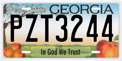 GA license plate PZT3244