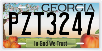 GA license plate PZT3247