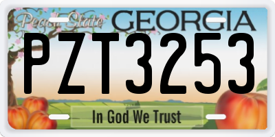 GA license plate PZT3253
