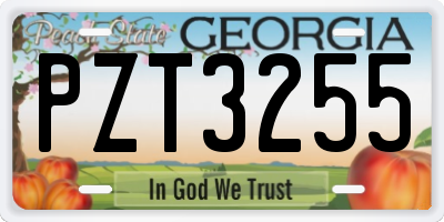 GA license plate PZT3255