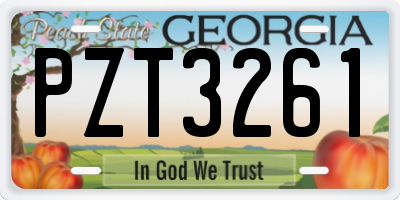 GA license plate PZT3261
