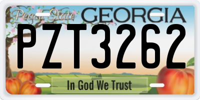 GA license plate PZT3262