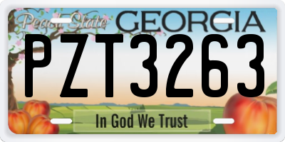 GA license plate PZT3263
