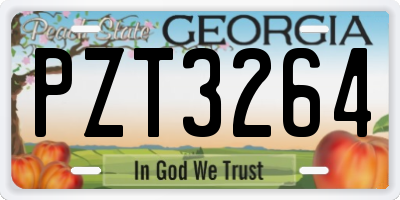 GA license plate PZT3264