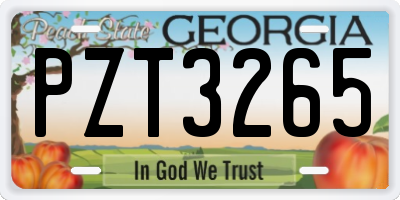 GA license plate PZT3265