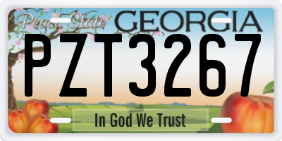 GA license plate PZT3267