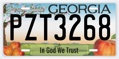 GA license plate PZT3268