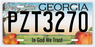 GA license plate PZT3270