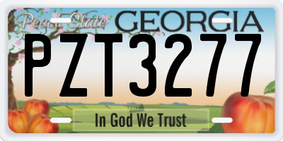 GA license plate PZT3277