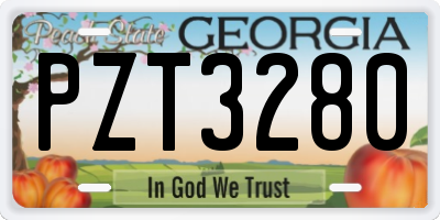 GA license plate PZT3280