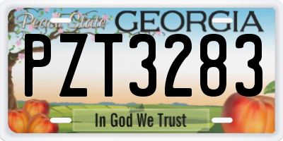 GA license plate PZT3283