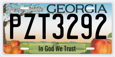 GA license plate PZT3292