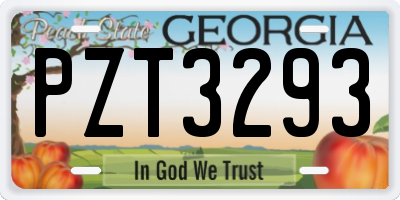 GA license plate PZT3293