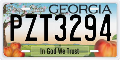 GA license plate PZT3294