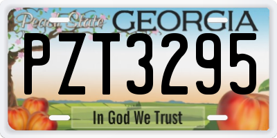 GA license plate PZT3295