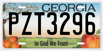 GA license plate PZT3296