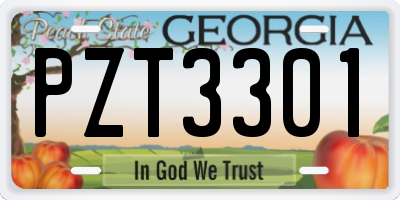 GA license plate PZT3301