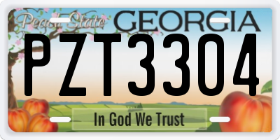 GA license plate PZT3304
