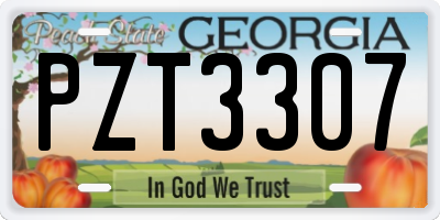 GA license plate PZT3307