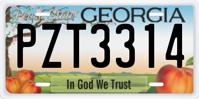 GA license plate PZT3314