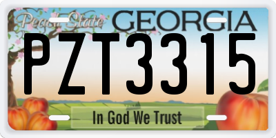 GA license plate PZT3315