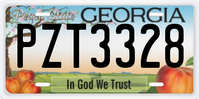 GA license plate PZT3328
