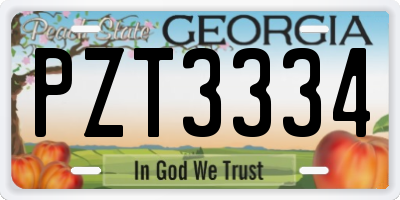 GA license plate PZT3334