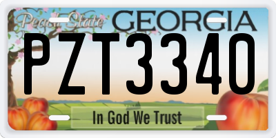 GA license plate PZT3340