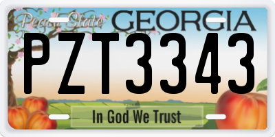 GA license plate PZT3343